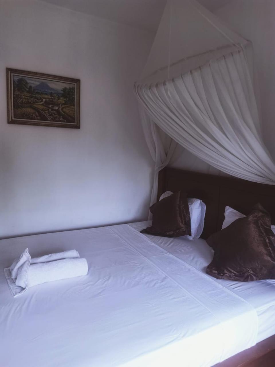 Fishermen'S Guesthouse 아메드 외부 사진